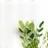 Organic Cosmetics Logo